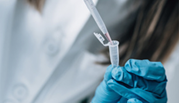 Recovery of mtDNA from Hair